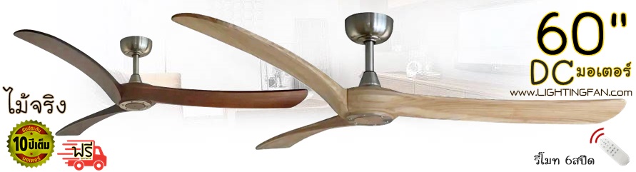 �Ѵ��ྴҹ����ԧ 3㺾Ѵ� �����6ʻմ